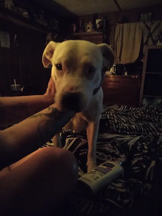 Progressive Veterinary Services Picture 1