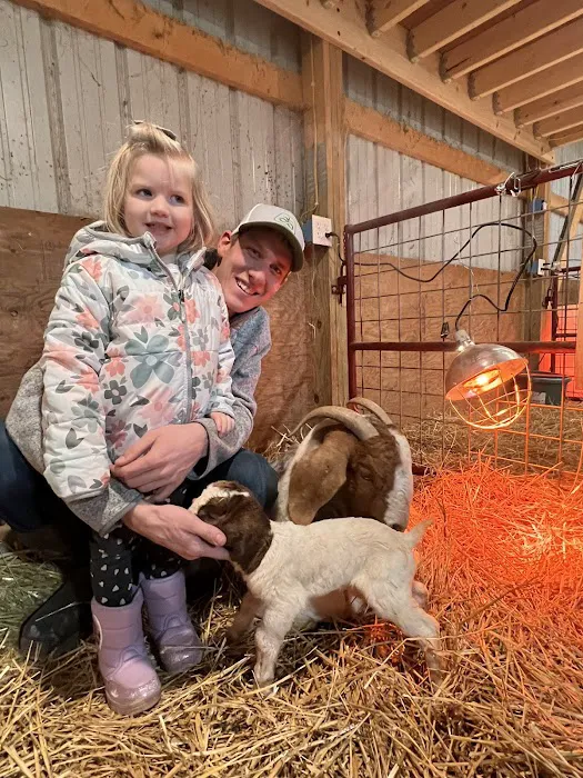 Howard County Veterinary Service, P.C. Picture 6