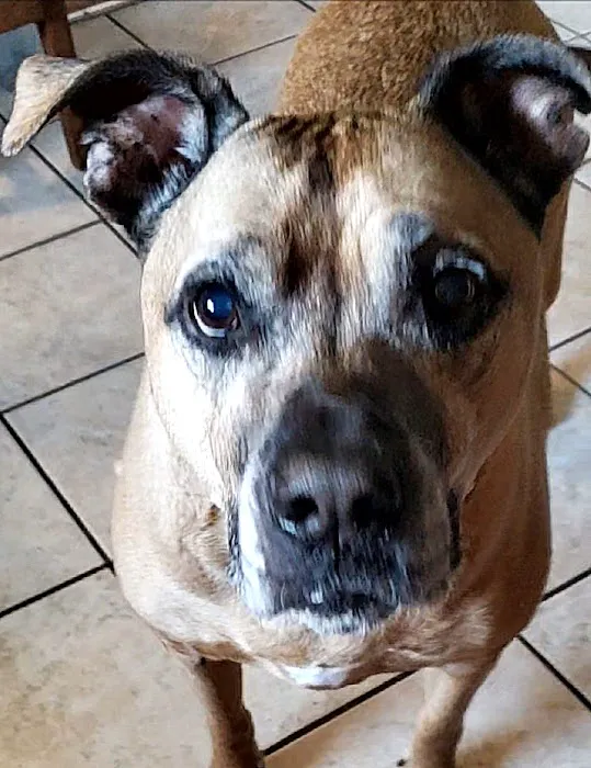 Scott City Animal Clinic Picture 2