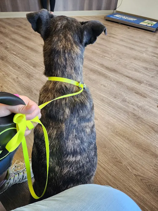 Scott City Animal Clinic Picture 3