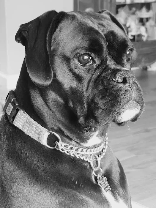 Scott City Animal Clinic Picture 4