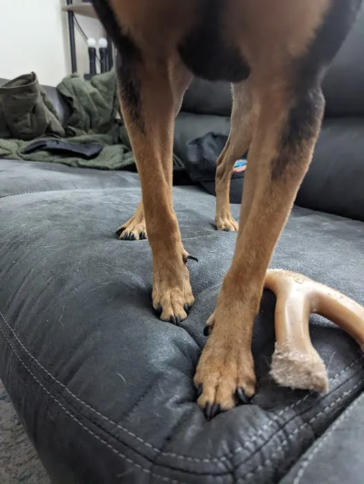 Scott City Animal Clinic Picture 5