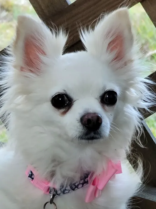 Scott City Animal Clinic Picture 6