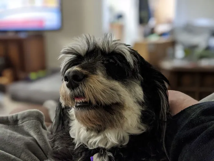 Scott City Animal Clinic Picture 8