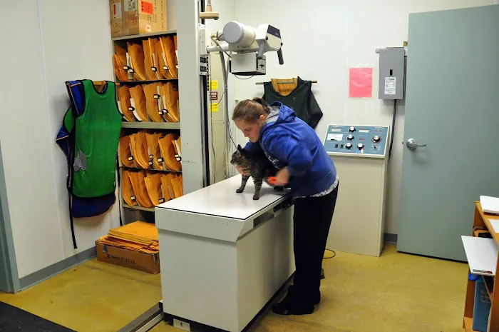 Deer Ridge Animal Hospital Picture 2