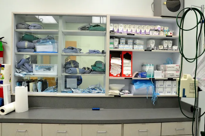 Deer Ridge Animal Hospital Picture 4