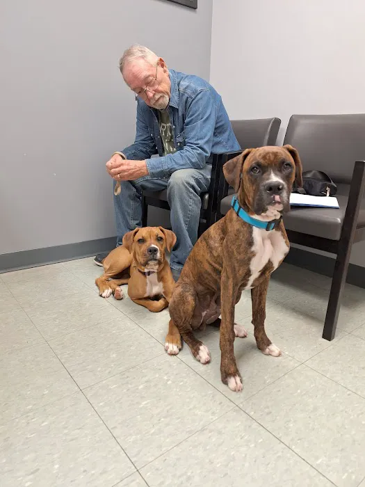 Deer Ridge Animal Hospital Picture 1