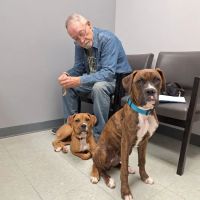 Deer Ridge Animal Hospital ico