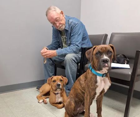 Deer Ridge Animal Hospital