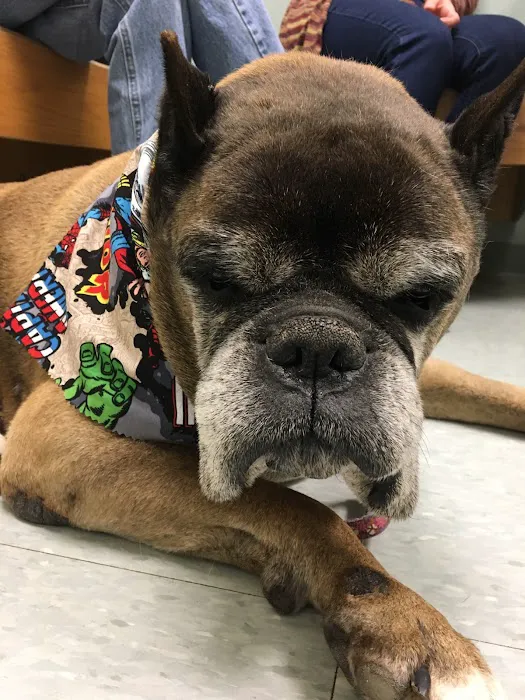 Deer Ridge Animal Hospital Picture 7