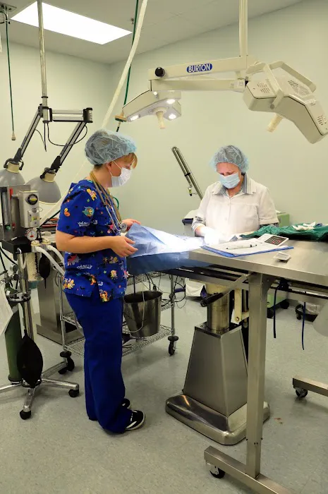 Deer Ridge Animal Hospital Picture 8