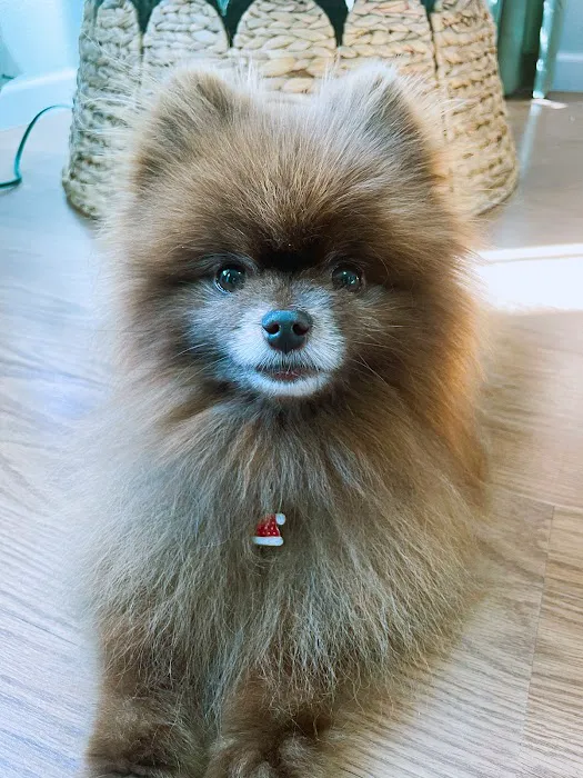 Jackson Veterinary Clinic Picture 2