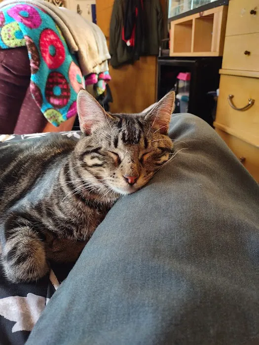 Jackson Veterinary Clinic Picture 1