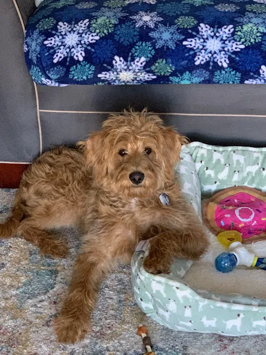 Jackson Veterinary Clinic Picture 6