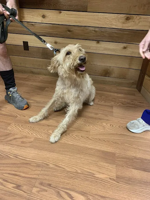 Jackson Veterinary Clinic Picture 7