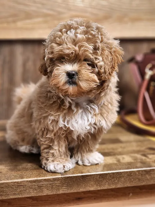 Jackson Veterinary Clinic Picture 4