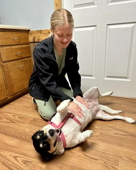 Jackson Veterinary Clinic Picture 10