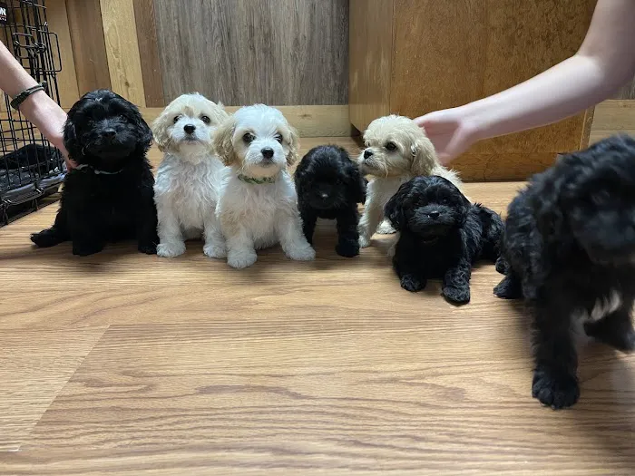 Jackson Veterinary Clinic Picture 9