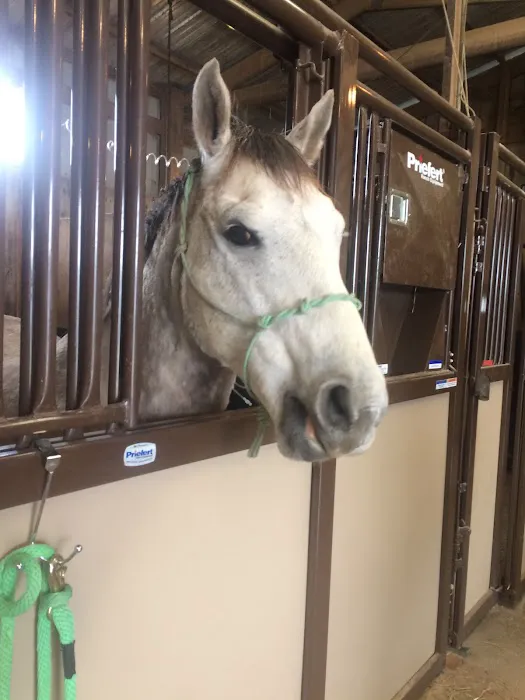 Linus F Huck Inc Picture 1