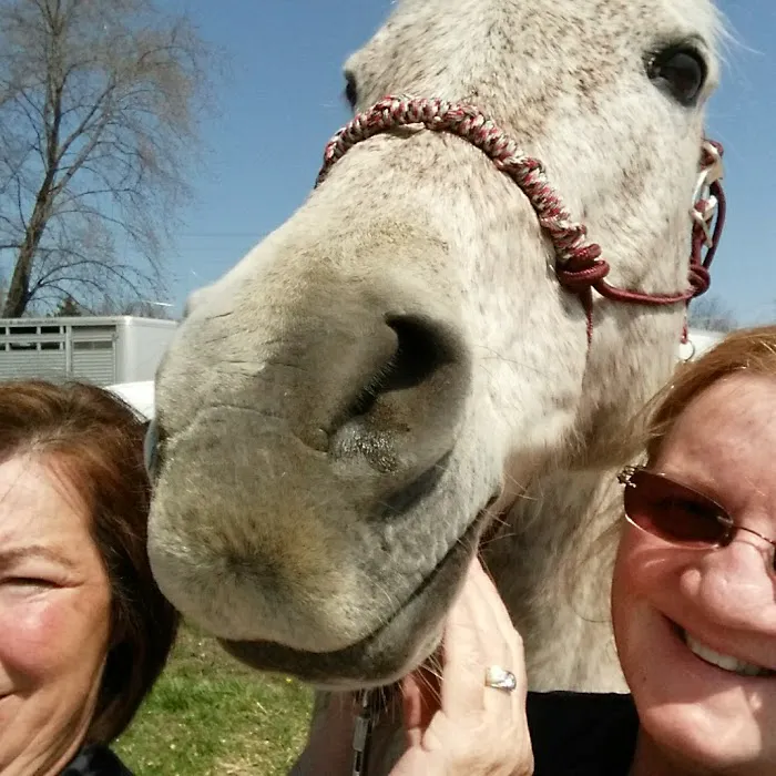 Linus F Huck Inc Picture 3