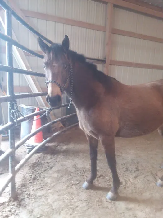 Linus F Huck Inc Picture 2