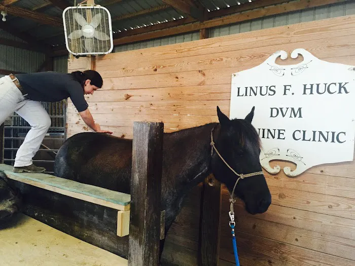 Huck Equine Clinic Picture 3
