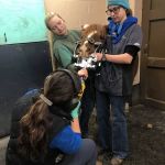 Huck Equine Clinic