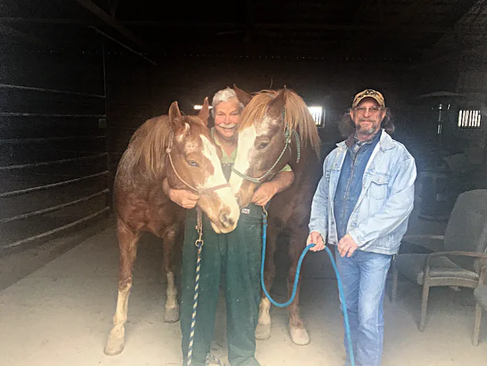 Huck Equine Clinic Picture 8