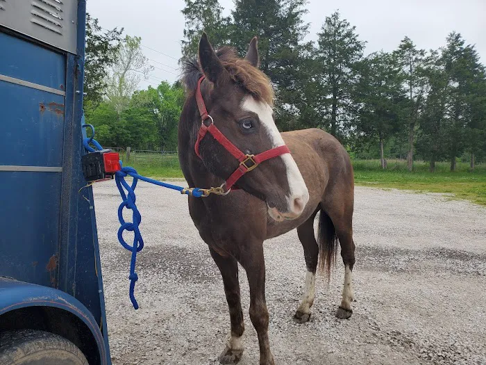 Lawson Animal Hospital LLC Picture 6