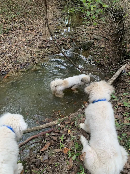 Lawson Animal Hospital LLC Picture 5