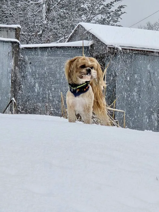 Lawson Animal Hospital LLC Picture 10