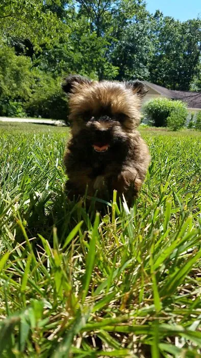 The Animal Clinic Picture 5