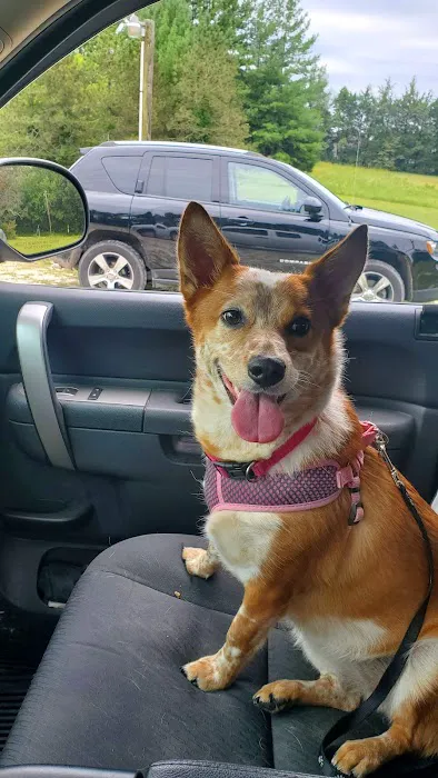 Dr. Beth Starkey Picture 1