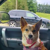 Dr. Beth Starkey ico