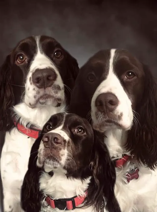 Dr. Beth Starkey Picture 2