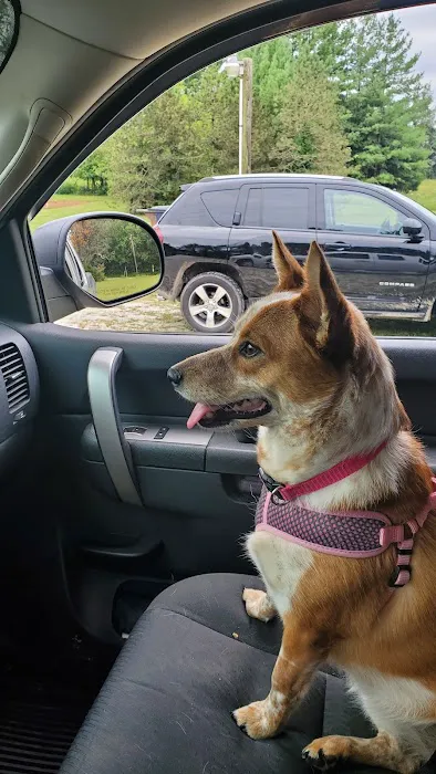 Dr. Beth Starkey Picture 3