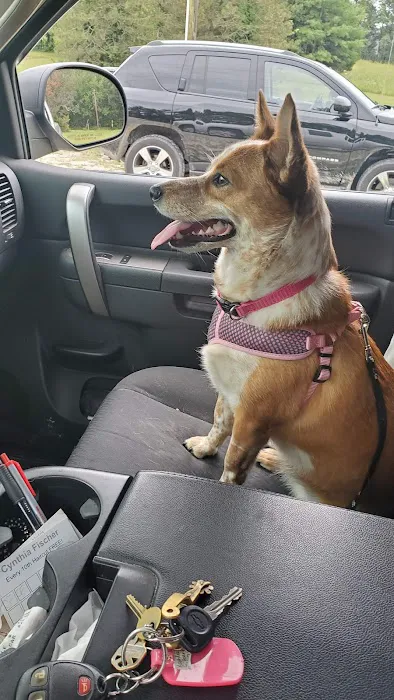 Dr. Beth Starkey Picture 4