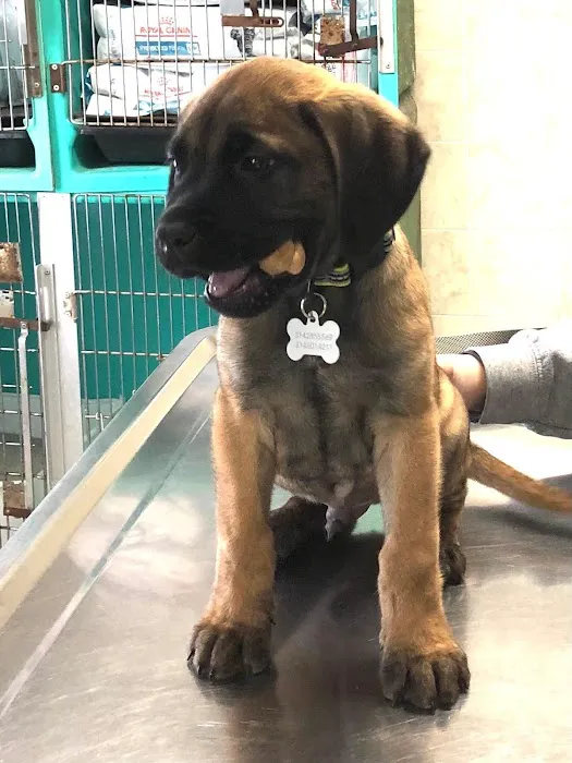 Starkey Veterinary Clinic Pc Picture 1