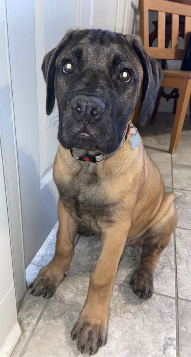 Starkey Veterinary Clinic Pc Picture 4