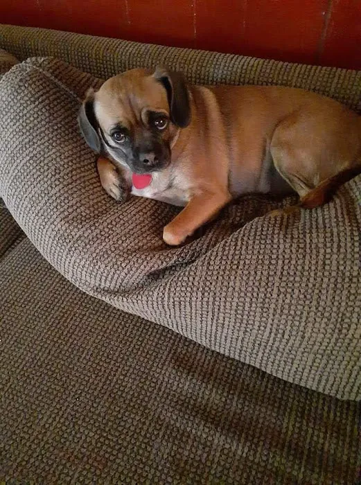 Starkey Veterinary Clinic Pc Picture 3