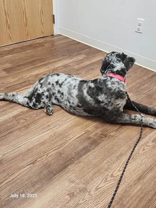 Heartland Veterinary Center Picture 3