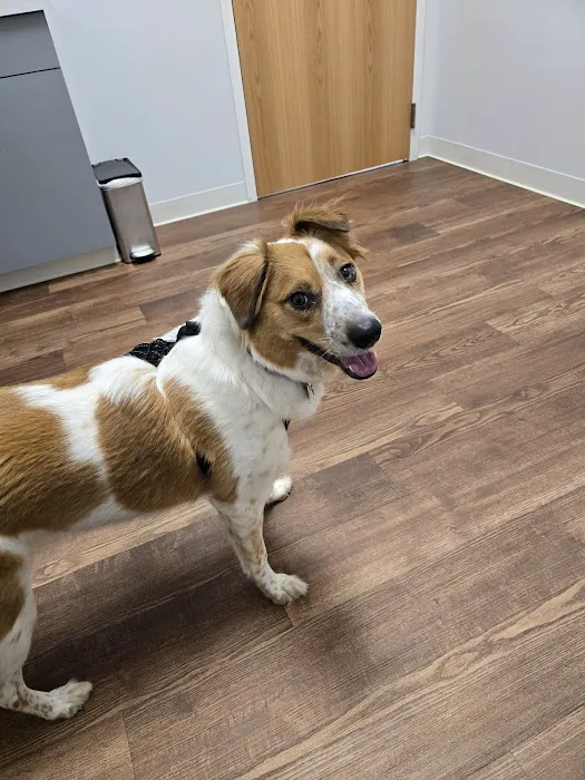 Heartland Veterinary Center Picture 8