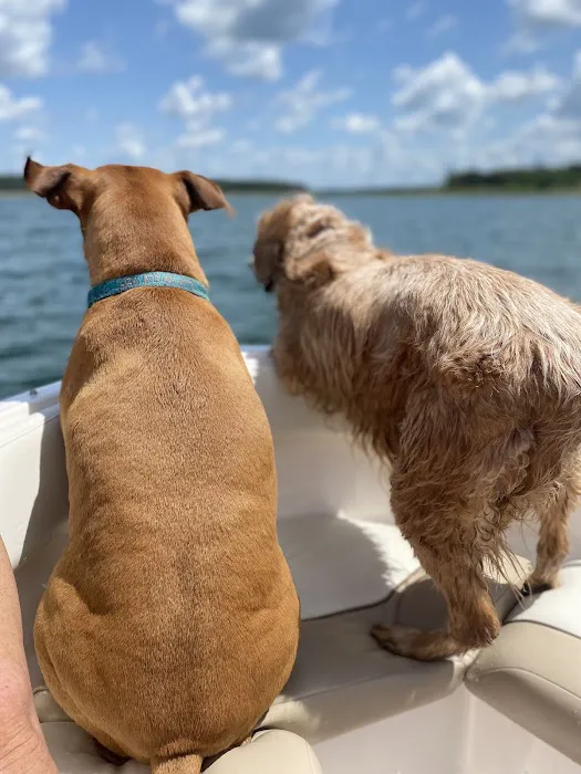 Heartland Veterinary Center Picture 5