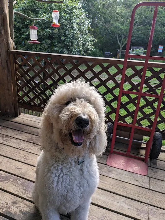 Farmington Animal Hospital Picture 4