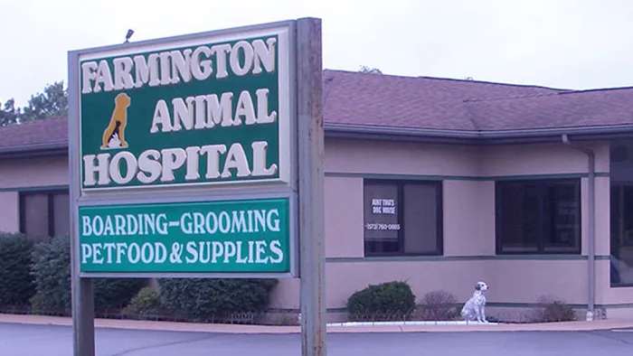 Farmington Animal Hospital Picture 5