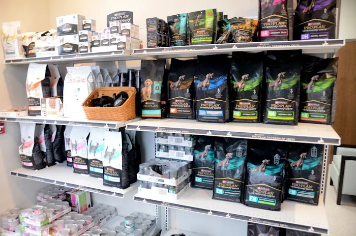 Animal Talk Medical Center Picture 2