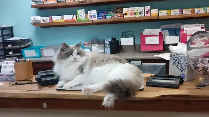 Animal Talk Medical Center Picture 5