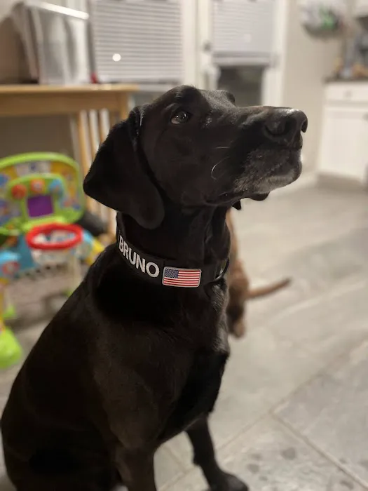 Animal Talk Medical Center Picture 10