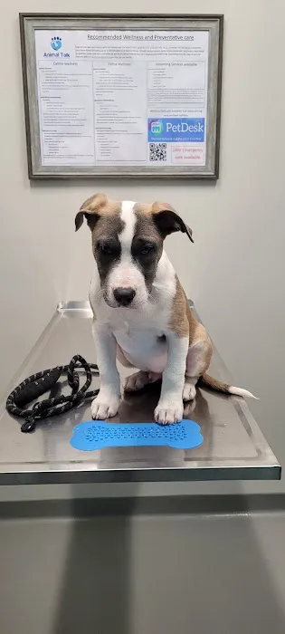 Animal Talk Medical Center Picture 6