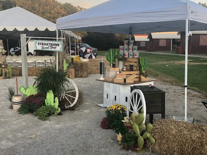 Mid-Rivers Equine Centre Picture 1